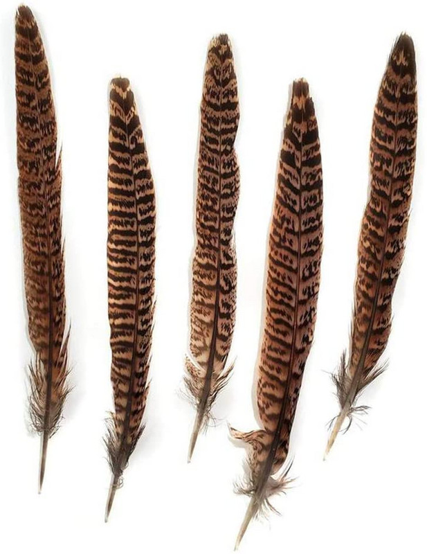 10 vnt Natūralios fazano plunksnos uodega 25–30 cm, skirtos vestuvėms, pasidaryk „pasidaryk pats“ amatams, musių rišimo plunksnoms, priedai, dekoravimui vištienos plunksnos