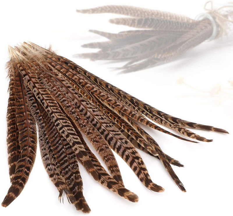 10 vnt Natūralios fazano plunksnos uodega 25–30 cm, skirtos vestuvėms, pasidaryk „pasidaryk pats“ amatams, musių rišimo plunksnoms, priedai, dekoravimui vištienos plunksnos