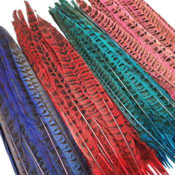 20 τμχ/παρτίδα φυσικό βαμμένο φτερό ουράς φασιανού 25-30cm DIY διακόσμηση γάμου plumas αξεσουάρ κόμμωσης Φτερά για κεντήματα