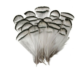 Φυσικό φτερό παγωνιού Φτερά φασιανού για χειροτεχνία Φτερά στρουθοκαμήλου Κοσμήματα Κατασκευή Χριστουγεννιάτικη γιορτινή διακόσμηση Plumes Plumas