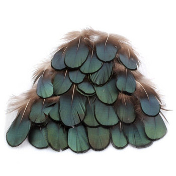 Φυσικό φτερό παγωνιού Φτερά φασιανού για χειροτεχνία Φτερά στρουθοκαμήλου Κοσμήματα Κατασκευή Χριστουγεννιάτικη γιορτινή διακόσμηση Plumes Plumas