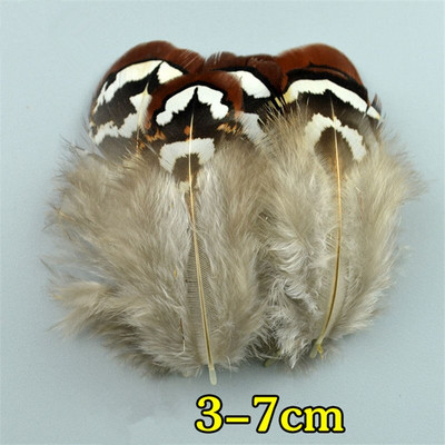 Looduslikud paabulinnusuled Faasanisuled meisterdamiseks Jaanalinnusuled Ehted Jõulupühadekaunistus Ploomid Plumas