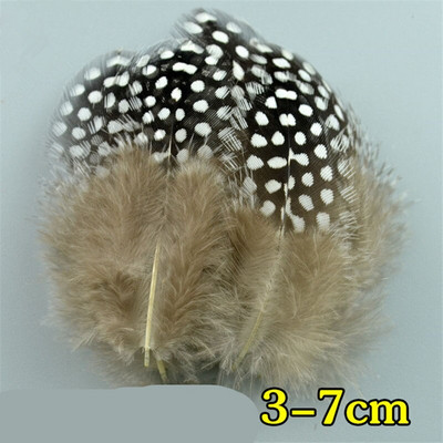 Looduslikud paabulinnusuled Faasanisuled meisterdamiseks Jaanalinnusuled Ehted Jõulupühadekaunistus Ploomid Plumas