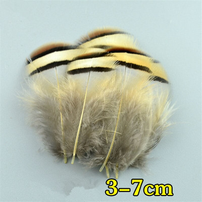 Looduslikud paabulinnusuled Faasanisuled meisterdamiseks Jaanalinnusuled Ehted Jõulupühadekaunistus Ploomid Plumas