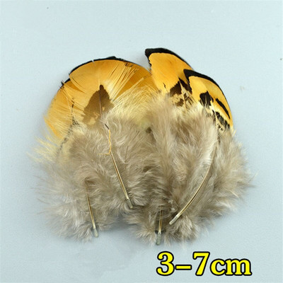 Looduslikud paabulinnusuled Faasanisuled meisterdamiseks Jaanalinnusuled Ehted Jõulupühadekaunistus Ploomid Plumas