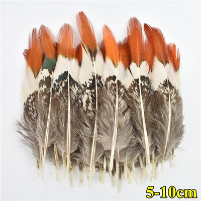 Looduslikud paabulinnusuled Faasanisuled meisterdamiseks Jaanalinnusuled Ehted Jõulupühadekaunistus Ploomid Plumas