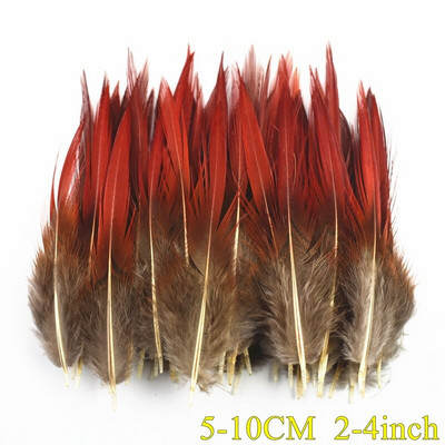 Looduslikud paabulinnusuled Faasanisuled meisterdamiseks Jaanalinnusuled Ehted Jõulupühadekaunistus Ploomid Plumas