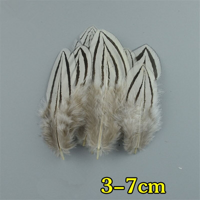 Looduslikud paabulinnusuled Faasanisuled meisterdamiseks Jaanalinnusuled Ehted Jõulupühadekaunistus Ploomid Plumas