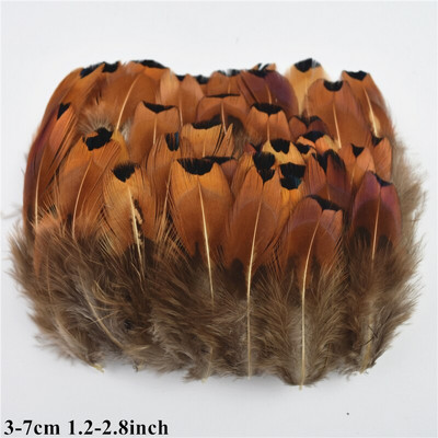 Looduslikud paabulinnusuled Faasanisuled meisterdamiseks Jaanalinnusuled Ehted Jõulupühadekaunistus Ploomid Plumas