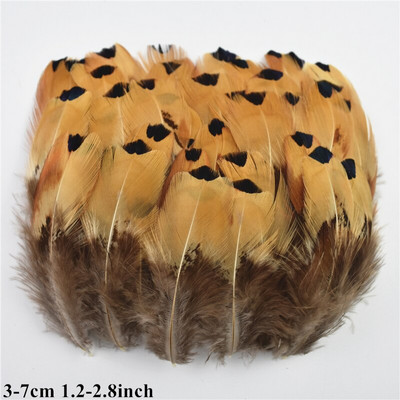 Looduslikud paabulinnusuled Faasanisuled meisterdamiseks Jaanalinnusuled Ehted Jõulupühadekaunistus Ploomid Plumas