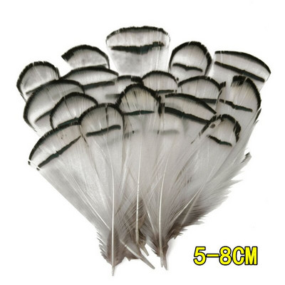 Looduslikud paabulinnusuled Faasanisuled meisterdamiseks Jaanalinnusuled Ehted Jõulupühadekaunistus Ploomid Plumas