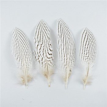 10 бр./лот 10-30 см 4-12 инча естествени сребърни пера от опашка на фазан за занаяти Сватбени декорации Сребърни пера от пера от фазан