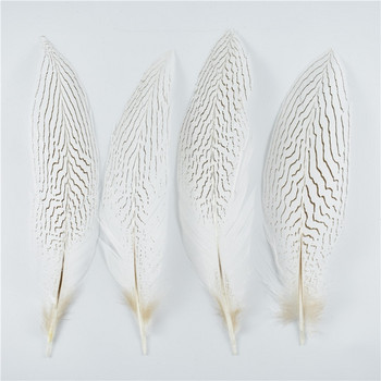 10 бр./лот 10-30 см 4-12 инча естествени сребърни пера от опашка на фазан за занаяти Сватбени декорации Сребърни пера от пера от фазан