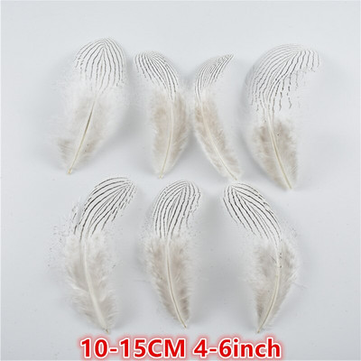10 tk/partii 10–30 cm 4–12 tolli naturaalsed hõbefaasani sabasuled käsitööks Pulmakaunistusteks Hõbefaasani sulgede ploomid