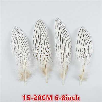 10 tk/partii 10–30 cm 4–12 tolli naturaalsed hõbefaasani sabasuled käsitööks Pulmakaunistusteks Hõbefaasani sulgede ploomid