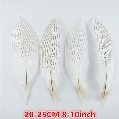 10 tk/partii 10–30 cm 4–12 tolli naturaalsed hõbefaasani sabasuled käsitööks Pulmakaunistusteks Hõbefaasani sulgede ploomid
