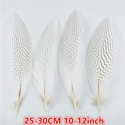 10 tk/partii 10–30 cm 4–12 tolli naturaalsed hõbefaasani sabasuled käsitööks Pulmakaunistusteks Hõbefaasani sulgede ploomid