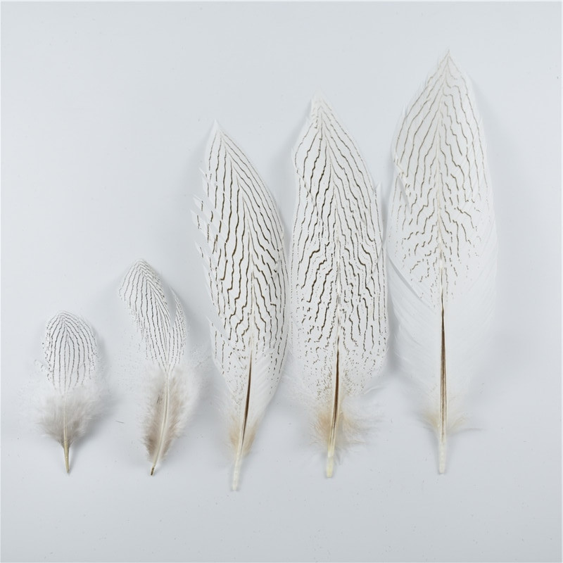 10 tk/partii 10–30 cm 4–12 tolli naturaalsed hõbefaasani sabasuled käsitööks Pulmakaunistusteks Hõbefaasani sulgede ploomid