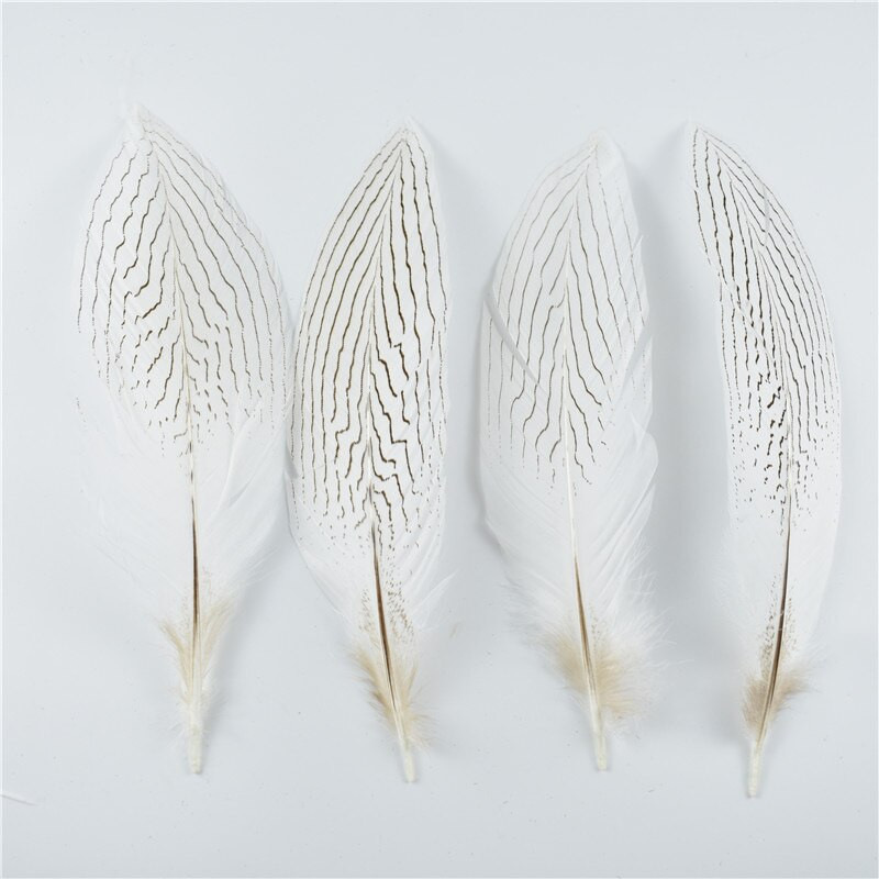 10 tk/partii 10–30 cm 4–12 tolli naturaalsed hõbefaasani sabasuled käsitööks Pulmakaunistusteks Hõbefaasani sulgede ploomid