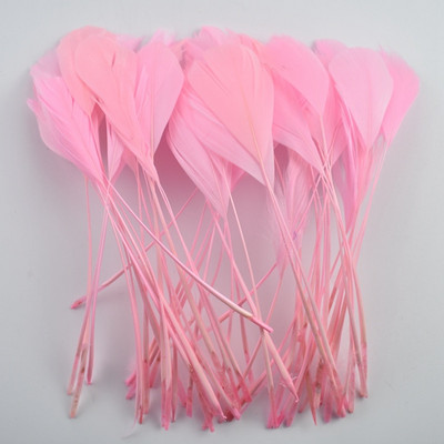 20vnt/stal. Spalvinga žąsies plunksnų puošmena 12-18cm Mėtų žąsų žąsų plunksnos Amatai Svajonių gaudytojas Rankdarbiai Aksesuarai Plunksnos