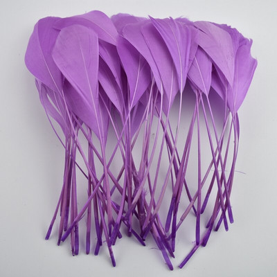 20vnt/stal. Spalvinga žąsies plunksnų puošmena 12-18cm Mėtų žąsų žąsų plunksnos Amatai Svajonių gaudytojas Rankdarbiai Aksesuarai Plunksnos