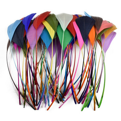20vnt/stal. Spalvinga žąsies plunksnų puošmena 12-18cm Mėtų žąsų žąsų plunksnos Amatai Svajonių gaudytojas Rankdarbiai Aksesuarai Plunksnos