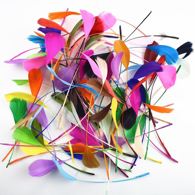 20vnt/stal. Spalvinga žąsies plunksnų puošmena 12-18cm Mėtų žąsų žąsų plunksnos Amatai Svajonių gaudytojas Rankdarbiai Aksesuarai Plunksnos
