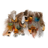 50 buc. pene naturale de fazan de păun pentru meșteșuguri Accesorii pentru fabricarea de bijuterii Decorare de nuntă Captorul de vise Plume Comert cu ridicata