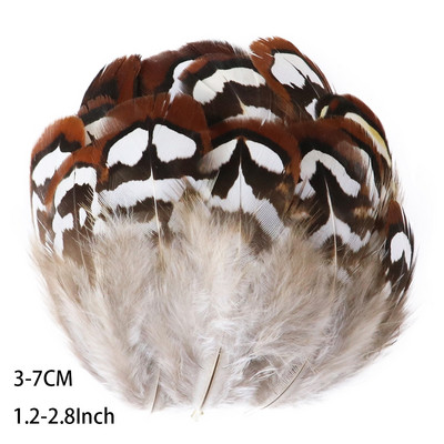 50 buc. pene naturale de fazan de păun pentru meșteșuguri Accesorii pentru fabricarea de bijuterii Decorare de nuntă Captorul de vise Plume Comert cu ridicata