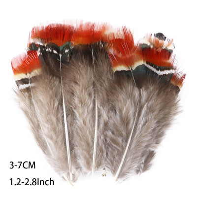 50 buc. pene naturale de fazan de păun pentru meșteșuguri Accesorii pentru fabricarea de bijuterii Decorare de nuntă Captorul de vise Plume Comert cu ridicata