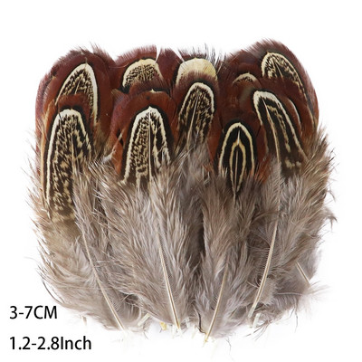 50 buc. pene naturale de fazan de păun pentru meșteșuguri Accesorii pentru fabricarea de bijuterii Decorare de nuntă Captorul de vise Plume Comert cu ridicata