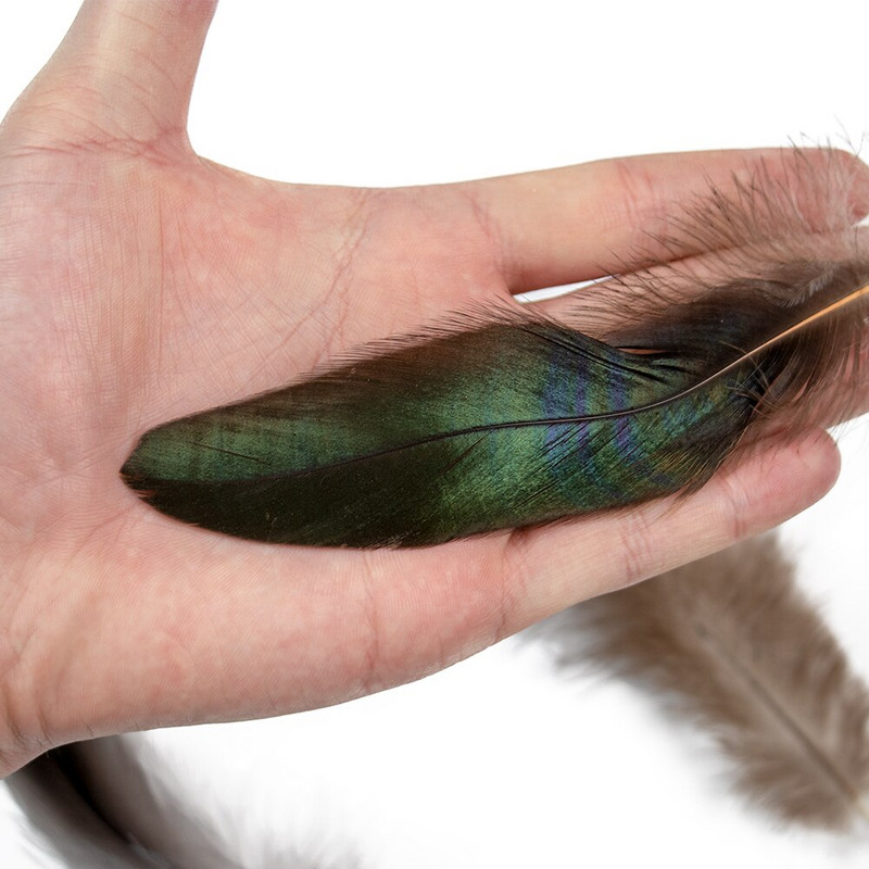 50 tk. Kaunid kukesuled 15–20 cm/6–8 tolli naturaalne faasanilööv isetegemine pulmaehted dekoratiivtarvikud käsitöö