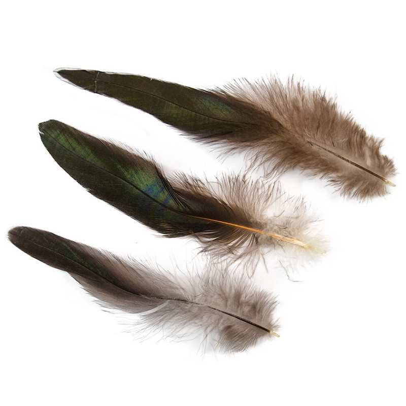 50 tk. Kaunid kukesuled 15–20 cm/6–8 tolli naturaalne faasanilööv isetegemine pulmaehted dekoratiivtarvikud käsitöö