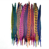 10 бр. Естествени пера от опашка на женски фазан за занаяти diy Plumes изработка на бижута Сватбени декорации Партита Декорация на пера 23-30CM