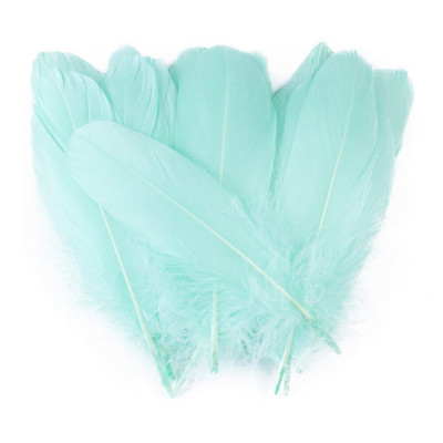 Χρωματιστές χειροτεχνίες για πάρτι Φτερά κύκνων Διακόσμηση γάμου Πλοφίο Φυσικό κόσμημα με φτερό λευκό χήνας Κατασκευή DIY Αξεσουάρ σπιτιού 13-18 εκ.