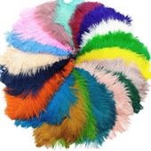 10 tk/partii Värvilised jaanalinnusuled vaasile DIY Dream Catcher Decor Plume Crafts Juuksed Pulmad Keskosa näputöö Aksessuaarid