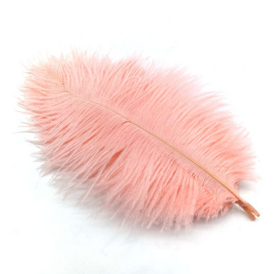 10 tk/partii Värvilised jaanalinnusuled vaasile DIY Dream Catcher Decor Plume Crafts Juuksed Pulmad Keskosa näputöö Aksessuaarid