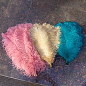 10 tk naturaalseid jaanalinnusulgi, mustvalgeid jaanalinnusulgi näputööks ja käsitööks pulmalaua keskosa kaunistamiseks