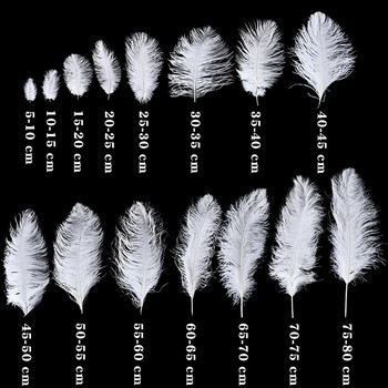 10τμχ Φυσικό φτερό στρουθοκαμήλου Μαύρο λευκό φτερό στρουθοκαμήλου για κεντήματα και χειροτεχνία Τραπεζάκι γάμου Κεντρική διακόσμηση