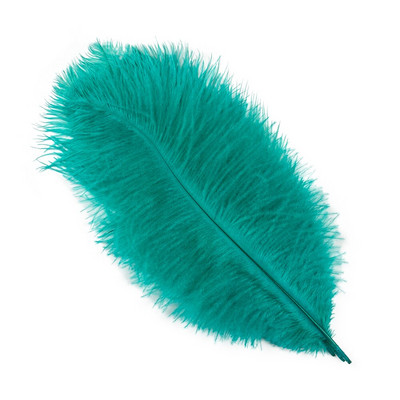 10 tk naturaalseid jaanalinnusulgi, mustvalgeid jaanalinnusulgi näputööks ja käsitööks pulmalaua keskosa kaunistamiseks