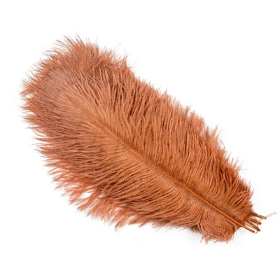 10 tk naturaalseid jaanalinnusulgi, mustvalgeid jaanalinnusulgi näputööks ja käsitööks pulmalaua keskosa kaunistamiseks