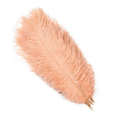 10 tk naturaalseid jaanalinnusulgi, mustvalgeid jaanalinnusulgi näputööks ja käsitööks pulmalaua keskosa kaunistamiseks