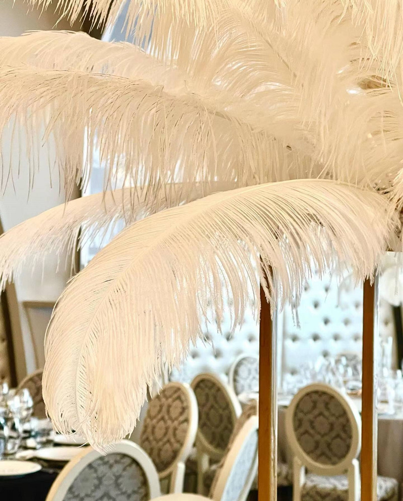 10 tk naturaalseid jaanalinnusulgi, mustvalgeid jaanalinnusulgi näputööks ja käsitööks pulmalaua keskosa kaunistamiseks