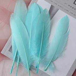 Φτερά φτερών φυσικής χήνας 6-8 ιντσών/15-20 εκ. Φτερού κύκνου για διακόσμηση σπιτιού Χειροτεχνία DIY Διακόσμηση κοσμημάτων γάμου