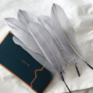 Φτερά φτερών φυσικής χήνας 6-8 ιντσών/15-20 εκ. Φτερού κύκνου για διακόσμηση σπιτιού Χειροτεχνία DIY Διακόσμηση κοσμημάτων γάμου