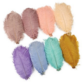 Hulgimüük 10 tk/partii Uus värviline jaanalinnu suled valged mustad sulgede kaunistused ploomid vaasid peo-pulmatarvikud kaunistus