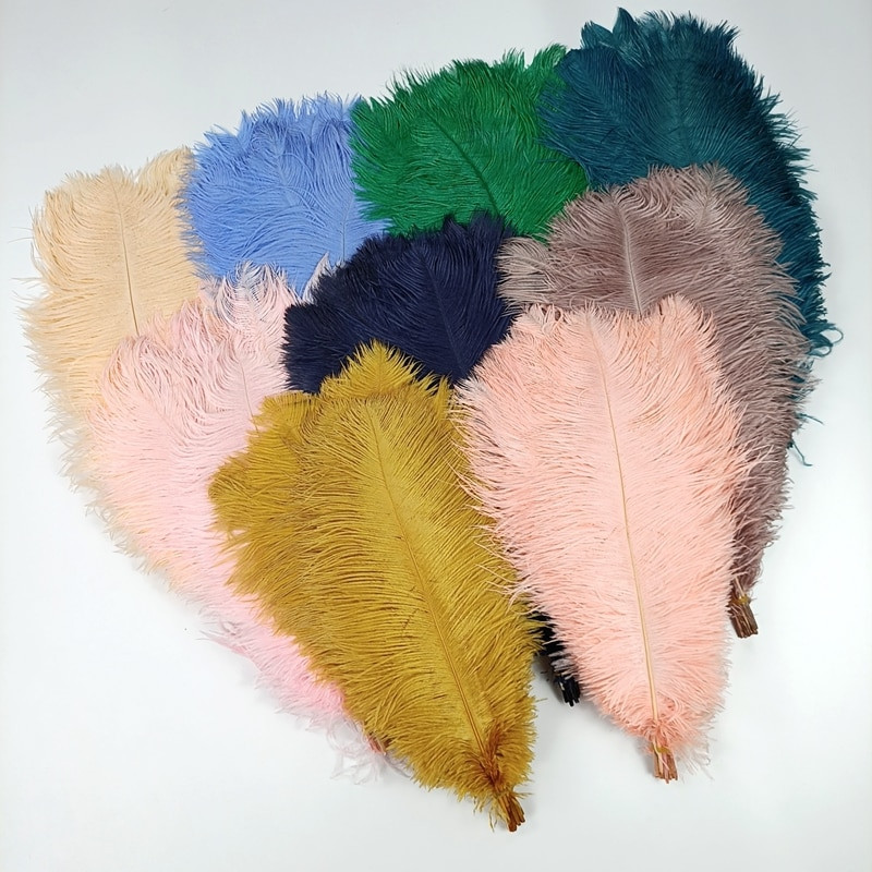 Hulgimüük 10 tk/partii Uus värviline jaanalinnu suled valged mustad sulgede kaunistused ploomid vaasid peo-pulmatarvikud kaunistus