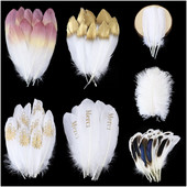 10-50 KOM Prirodno bijelo perje Rukotvorine DIY Izrada nakita Pokrivalo za glavu Noj Puretina Paunovo perje Vjenčanje Dekoracija doma