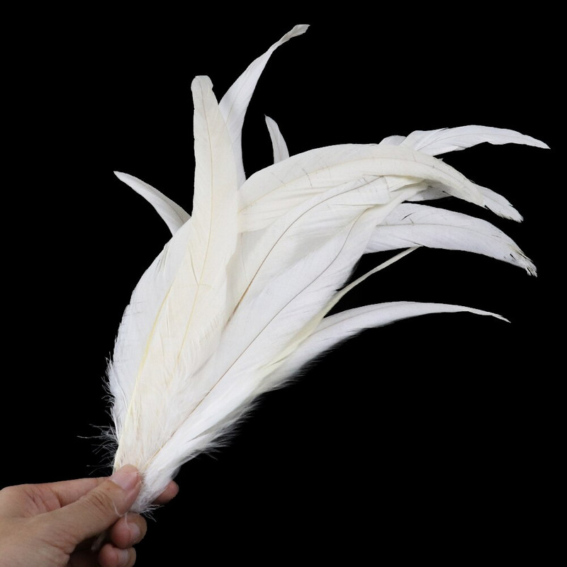10-50 KOM Prirodno bijelo perje Rukotvorine DIY Izrada nakita Pokrivalo za glavu Noj Puretina Paunovo perje Vjenčanje Dekoracija doma