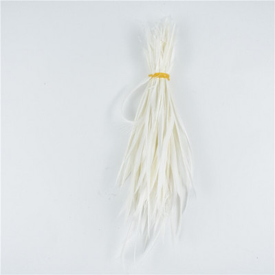 Värvilised looduslikud hanesuled juuste meisterdamiseks Suled ehete valmistamiseks Kärbse sidumismaterjalid Kaunistused Karnevali unenäopüüdja